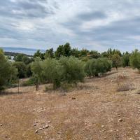 Land plot in Greece, Central Macedonia, Center
