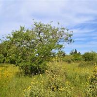 Land plot in Greece, Ionian Islands