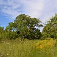 Land plot in Greece, Ionian Islands