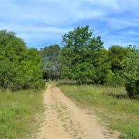 Land plot in Greece, Ionian Islands