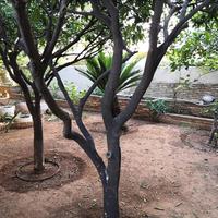 Бизнес-центр в Греции, Аттика, Афины, 534 кв.м.