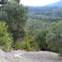 Land plot in Greece, Ionian Islands