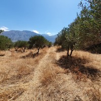 Other in Greece, Crete, 497 sq.m.