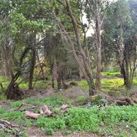 Land plot in Greece, Ionian Islands