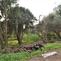 Land plot in Greece, Ionian Islands