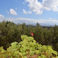 Other in Greece, Crete, Chania, 215 sq.m.