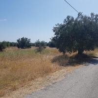 Земельный участок в Греции, Центральная Македония, Центр