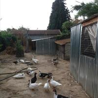 Бизнес-центр в Греции, Фессалия, 320 кв.м.