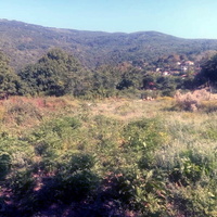 Другое в Греции, Фессалия, 150 кв.м.