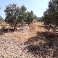 Land plot in Greece, Crete, Irakleion