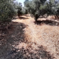 Land plot in Greece, Crete, Irakleion