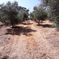 Land plot in Greece, Crete, Irakleion