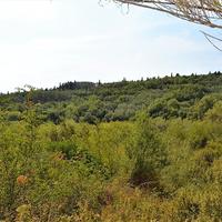 Land plot in Greece, Ionian Islands