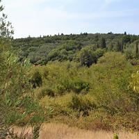 Land plot in Greece, Ionian Islands