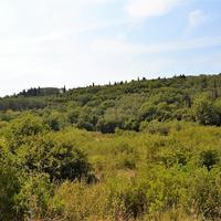 Land plot in Greece, Ionian Islands