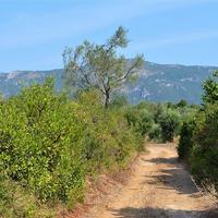 Land plot in Greece, Ionian Islands
