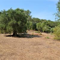 Land plot in Greece, Ionian Islands