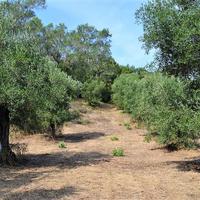 Land plot in Greece, Ionian Islands