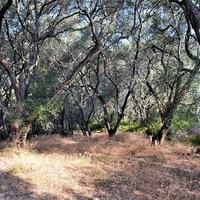 Земельный участок в Греции, Ионические острова