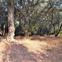 Земельный участок в Греции, Ионические острова