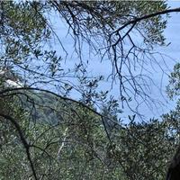 Land plot in Greece, Ionian Islands