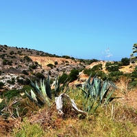 Land plot in Greece, Crete, Irakleion