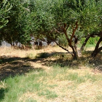 Land plot in Greece, Crete, Irakleion