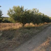 Land plot in Greece, Central Macedonia, Center