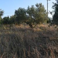 Land plot in Greece, Central Macedonia, Center