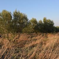 Land plot in Greece, Central Macedonia, Center