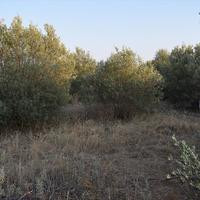 Земельный участок в Греции, Центральная Македония, Центр