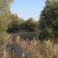 Земельный участок в Греции, Центральная Македония, Центр