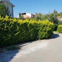 Другое в Греции, Центральная Македония, Центр, 152 кв.м.