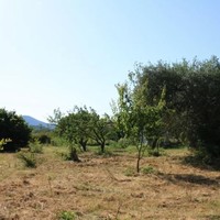 Land plot in Greece, Ostrova