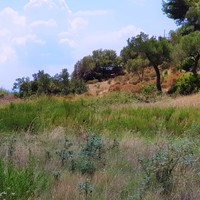 Земельный участок в Греции, Центральная Македония, Центр