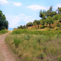 Земельный участок в Греции, Центральная Македония, Центр