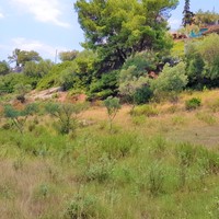 Земельный участок в Греции, Центральная Македония, Центр