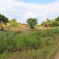 Земельный участок в Греции, Центральная Македония, Центр