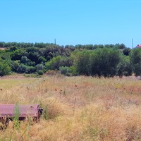 Земельный участок в Греции, Центральная Македония, Хал