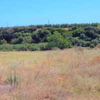 Земельный участок в Греции, Центральная Македония, Хал