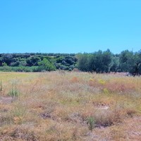 Земельный участок в Греции, Центральная Македония, Хал