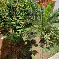 Other in Greece, Central Macedonia, Center, 115 sq.m.