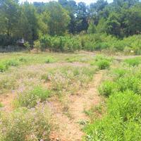Land plot in Greece, Central Macedonia, Center
