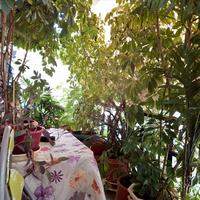 Flat in Greece, Attica, Athens, 64 sq.m.