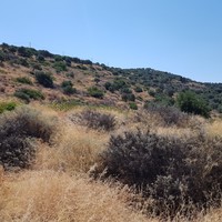 Земельный участок в Греции, Крит, Ираклион, 4758 кв.м.
