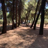 Другое в Греции, Центральная Македония, Центр, 175 кв.м.