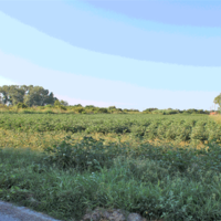 Land plot in Greece, Central Macedonia, Center