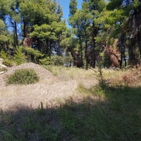 Земельный участок в Греции, Центральная Македония, Центр