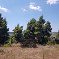 Земельный участок в Греции, Центральная Македония, Центр