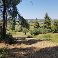 Земельный участок в Греции, Центральная Македония, Центр